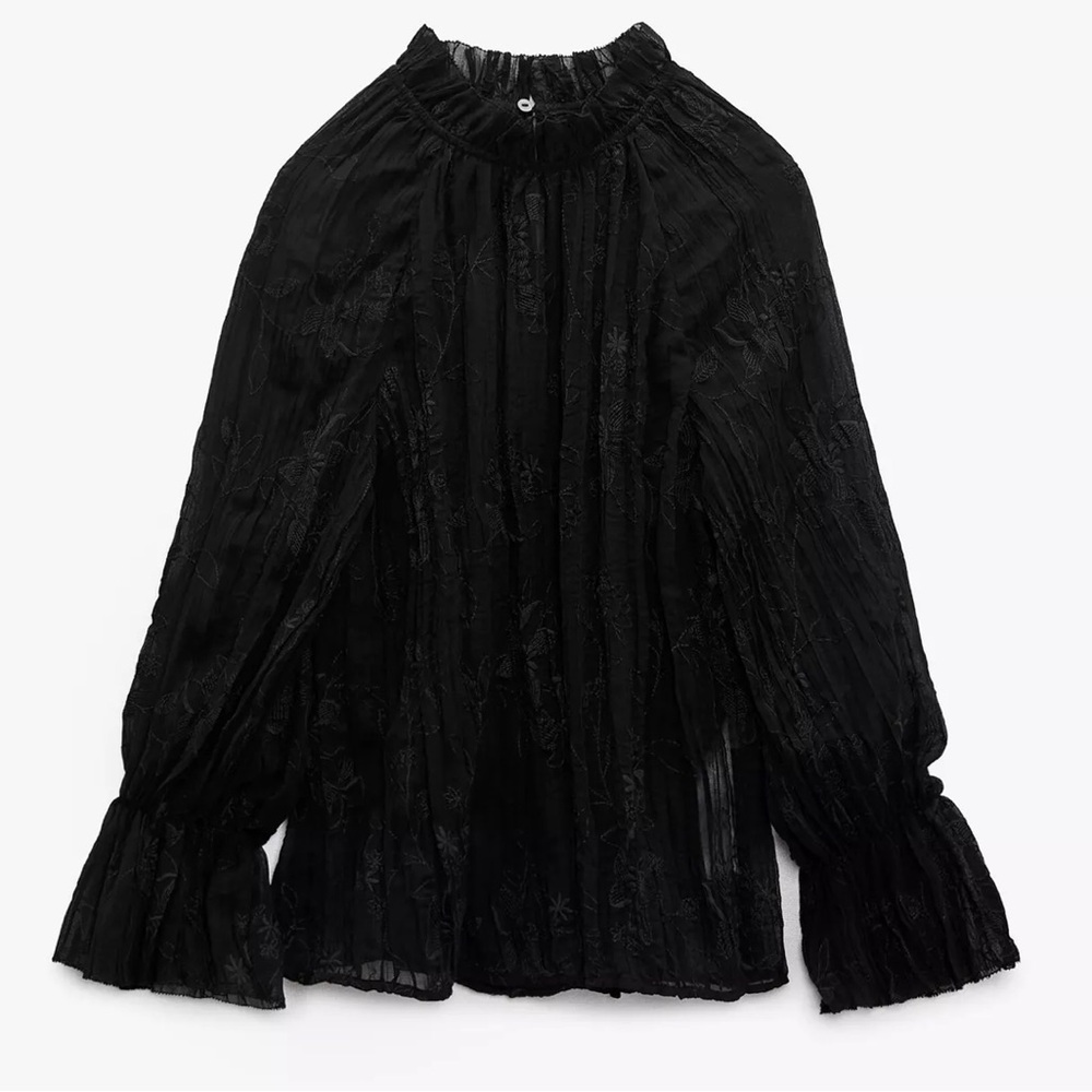 💫 Zara Embroidery Pleated Top - New 💫 - Picture 6 of 14